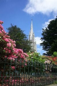 neuseeland-dunedin-2001