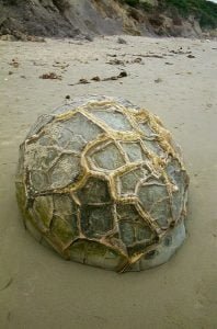 neuseeland-stewart-island-2001