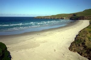 neuseeland-stewart-island-2001
