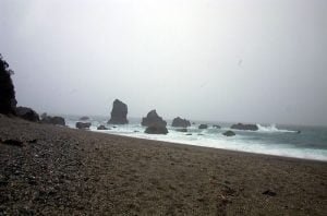 neuseeland-stewart-island-2001