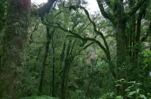 neuseeland-stewart-island-2001