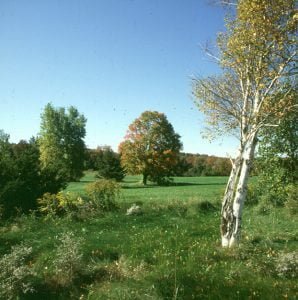 new-hampshire-idylle zum Foliagebeginn