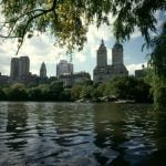 new-york-Teich im südlichen Centralpark 1983