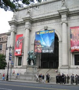 new-york-Naturhistorisches Museum 2003