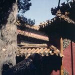 Peking-Kaiserpalast-Privatdaecher 2000