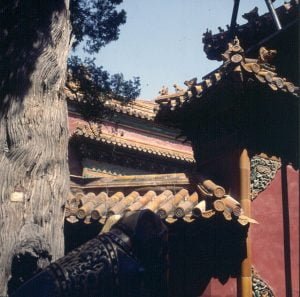 Peking-Kaiserpalast-Privatdaecher 2000