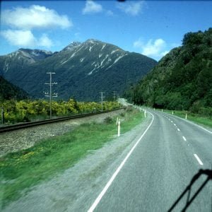 neuseeland queenstown-ginster 2001