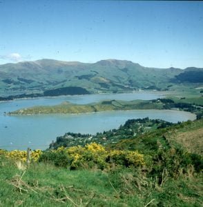 neuseeland-queenstown-ginsterufer 2001