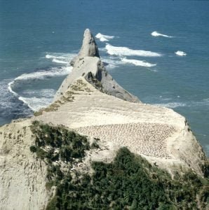 neuseeland-rotorua-kidtotale 2001