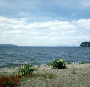 neuseeland rotorua-lake Taupo 2001