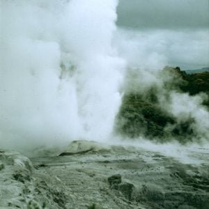 neuseeland-rotorua-rotoruadampf 2001