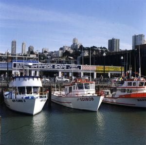 san-francisco-fishermans wharf