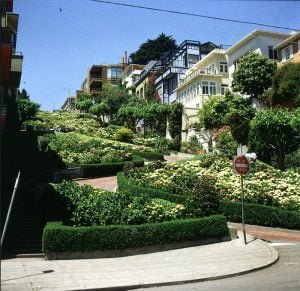 san-francisco-lombardstreet