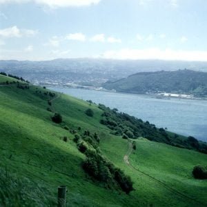 neuseeland--dunedinvorblick 2001