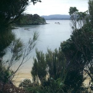 neuseeland-stewart-island-stewartstrand