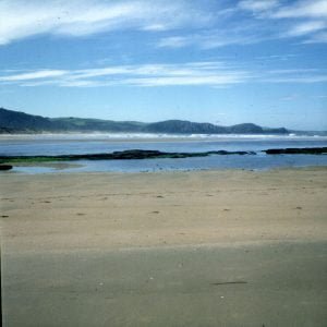 neuseeland-stewart-island-suedstrand