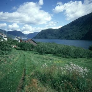 sued-norwegen-fjord-idylle