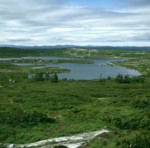 sued-norwegen-fossefjell-2