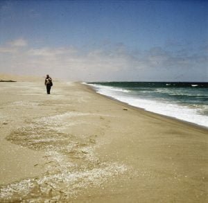 suedafrika durban muschelstrand