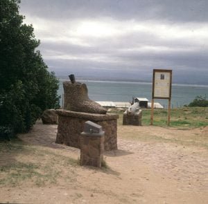 suedafrika durban postamt baum