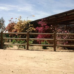 suedafrika durban strauss farm 2