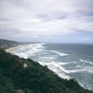 suedafrika durban wilderness