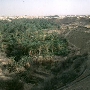 Tunesien-Djerba-Oasensenke 1990