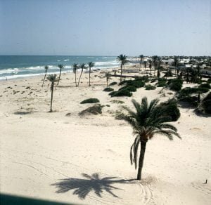 Tunesien-Djerba-Hotelblick 1990