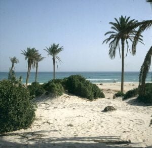 Tunesien-Djerba-Hotelblick 1990