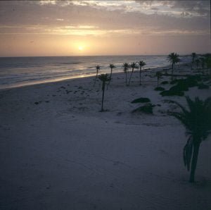 Tunesien-Djerba-1990