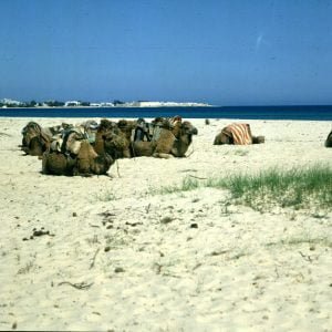 Tunesien-Tunesien-Hammamet-1990