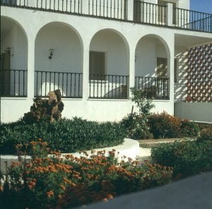 tunesien sueden gabes garten