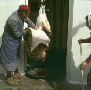 tunesien volk fellabzug