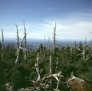 vermont-mt. washington