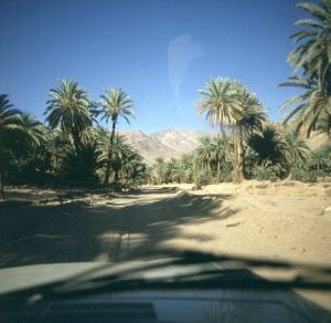 aegypten-sinai-oase feiran-1981