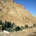 aegypten-sinai-kloster-garten 1981