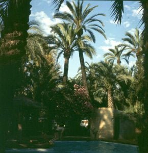 andalusien-elche