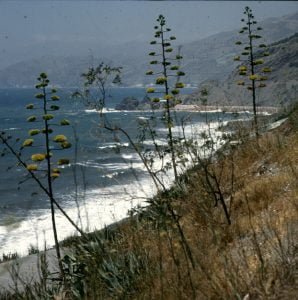 spanien-andalusien-suedkueste 1977