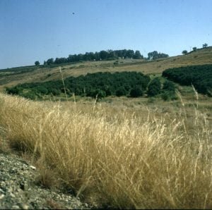 Haifa-Bergpredigt