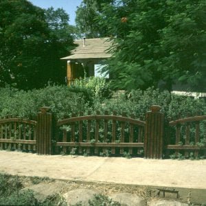 Haifa-Kibbuzhaus