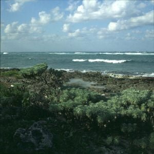 Jamaika-Naturkueste