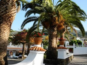 Traumschiff-madeira-2012