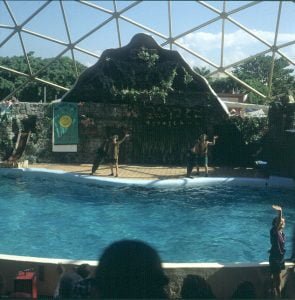 Miami-Seaquarium-Ökospiel