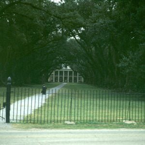 Mississippi-Oak-Alley