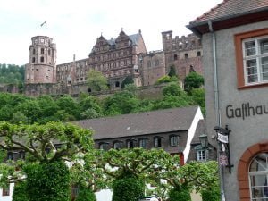 rhein-heidelberg-schloss