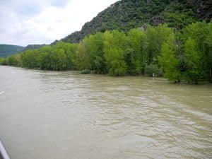 rhein-hochwasser-ufer