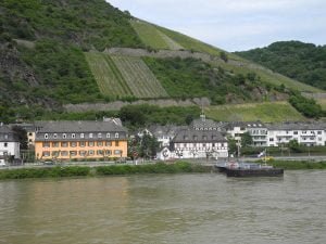 rhein-weinberg-steil