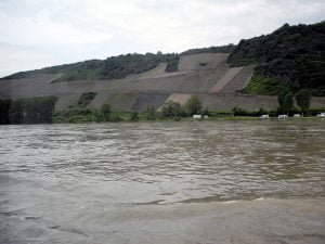 rhein-weinberge