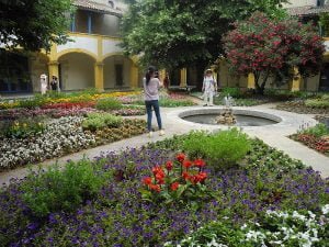 rhone-arles-garten