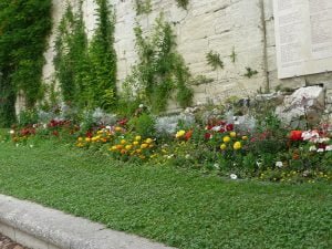 rhone-blumen-mauer